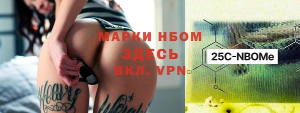 сатива Аркадак