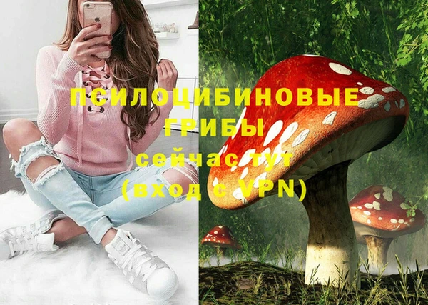 ешки Пестово