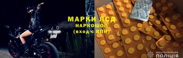 сатива Аркадак