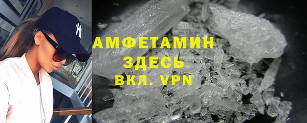 сатива Аркадак