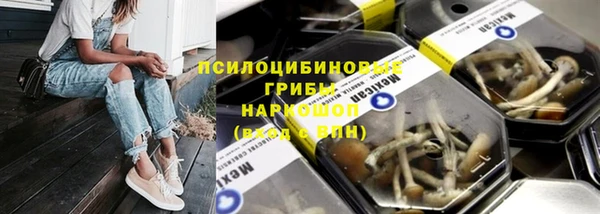 сатива Аркадак